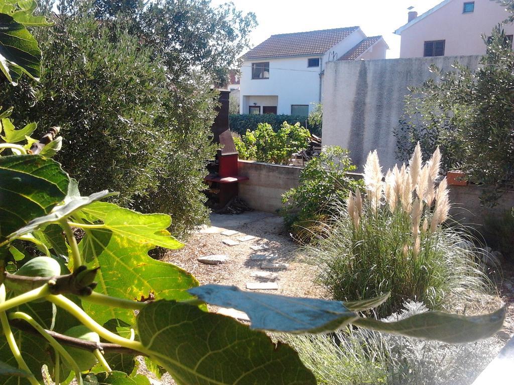 מורטר Apartments Jadranica מראה חיצוני תמונה